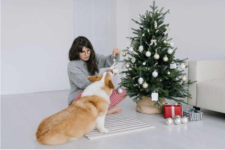 How Artificial Christmas Trees Can Help Shape a Better Future